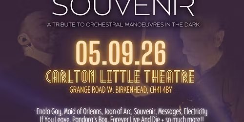 souvenir - a tribute to orchestral maneuvers in the dark 