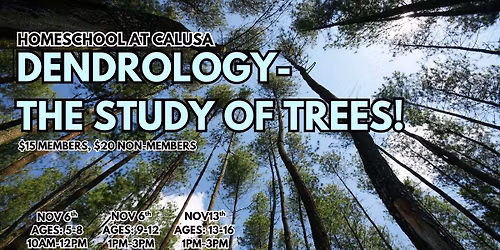 Homeschool: Dendrology-The Study of Trees! (AGES 13-16)