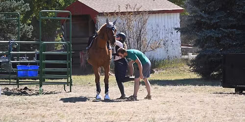 Everyday Horse Care & Emergency Prep Clinic