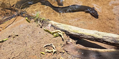 SUMMER HOLIDAY EDUCATION PROGRAMME JANUARY 2026