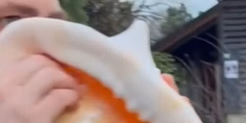 Initiation \u00e0 la conque