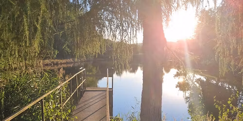 Výlov rybníka a rybí hody ve Chmelné