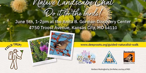 Field Trip: Anita B. Gorman Discovery Center