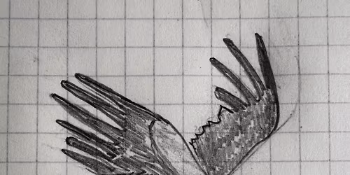 Ye Ole Turkey Tourney