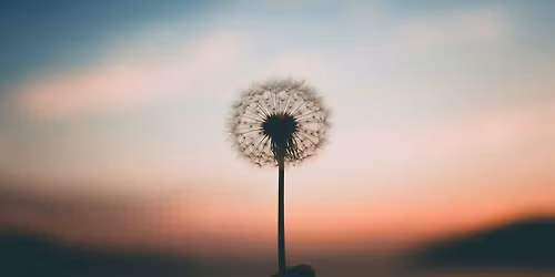 If mindfulness is a doorway, what\u2019s on the other side?