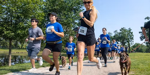 Makin' Strides for Strays