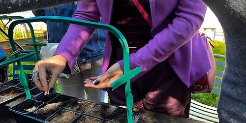 Workshop: caring for your bean plants\/ Atelier : entretien des plantes haricots