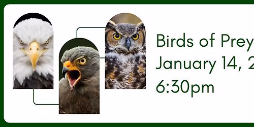 Birds of Prey: Hawk Mountain Sanctuary