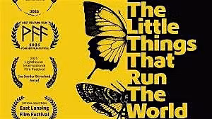 Movie screening - "The Little Things That Run the World"