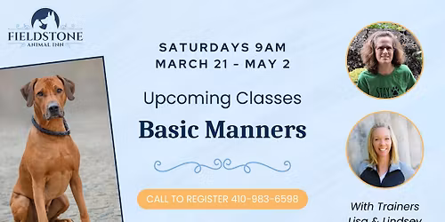 Dog Training Class: Basic Manners