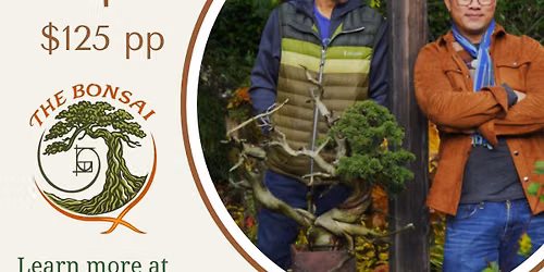 Create your own bonsai with Bonsai X [SOLD OUT]