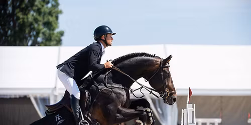 Mi\u0119dzynarodowe zawody CSIO4* Sopot 2026