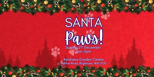 Santa Paws!