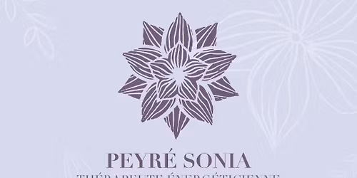 march\u00e9 de No\u00ebl Saint-Aun\u00e8s 