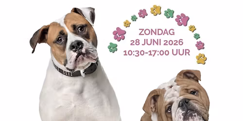 De Bullendag 2026