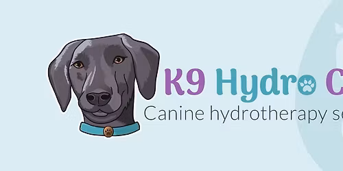 Santa Paws \ud83d\udc36\u2764\ufe0f