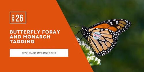 Butterfly Foray and Monarch Tagging