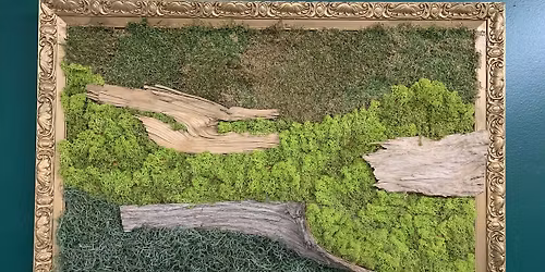Moss Art Workshop