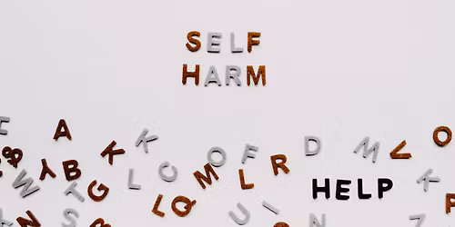 Self Harm Awareness Session - Inverness