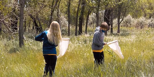 Homeschool Fridays: Awesome Arthropods