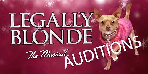 Legally Blonde Auditions - DMTC Main Stage