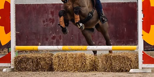 Working Equitation lesdag Louise Poppe VOLZET
