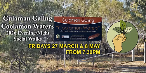 Coolamon Waters Night Walk