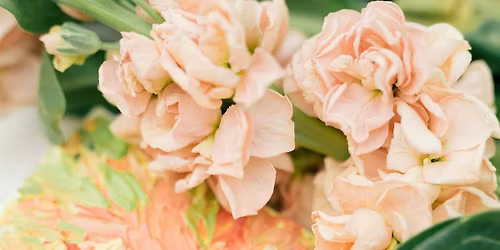 Botanical Painting for Beginners January