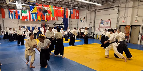 June 20: Aikido & Iaido with Tomoleoni Shihan