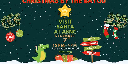 Christmas by the Bayou