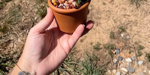 Stained Glass Plants Workshop