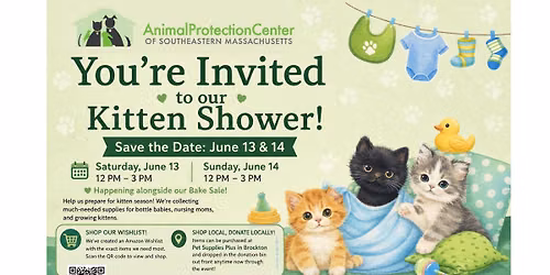 Kitten Shower Donation Drive \ud83d\udc3e\ud83c\udf7c