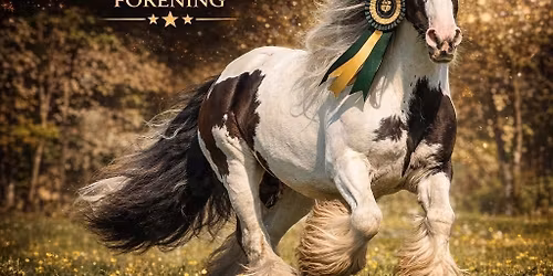 Show\/uoffisiell hesteutstilling for alle raser\/blandinger