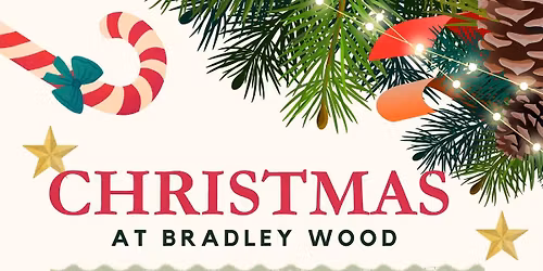 Christmas at Bradley Wood