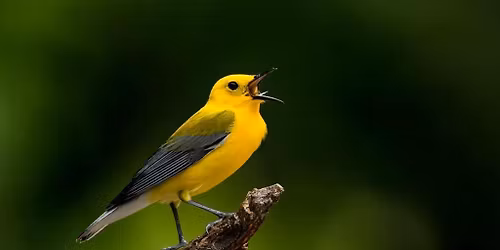 Jackson Audubon Society Quarterly Meeting and Potluck Supper