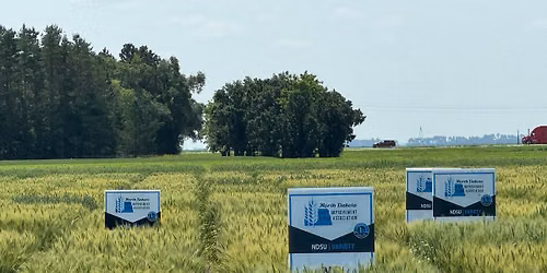 Dickinson REC Annual Field Day - Agronomy 