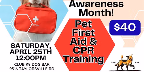Pet First Aid & CPR Training at Club K9