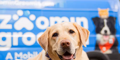 Dog Grooming Pop-Up at Dammann's Garden Company with Zoomin' Groomin'