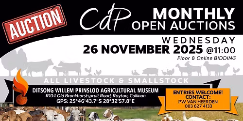 CdP Open Auction Rayton