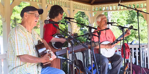 Critton Hollow String Band