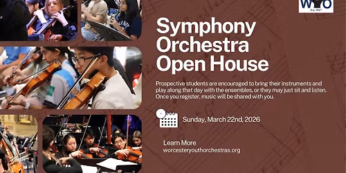 Symphony Orchestra Open House