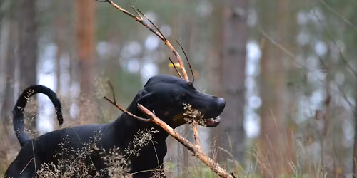 B\u00c4BIE\u00b4S GARDEN KENNELP\u00c4IV\u00c4T