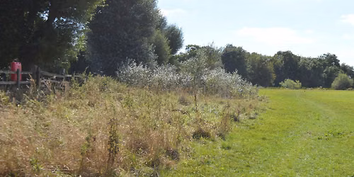 Portholme Meadow Nature Walk