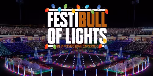 Let's celebrate Christmas at the DBAP!