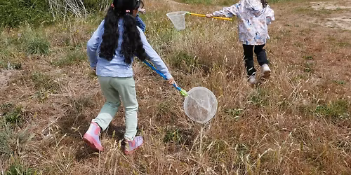 Naturewatch for Children