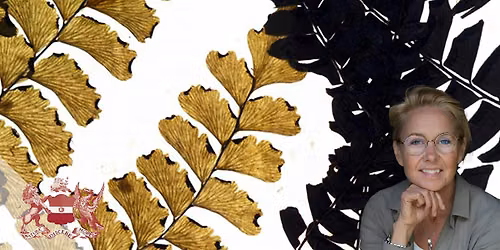 Herbarium | Plants in a New Light