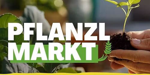 Zwettler Pflanzlmarkt