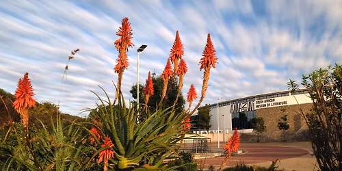 Amazwi Literature Heritage Ecology Conference 2026