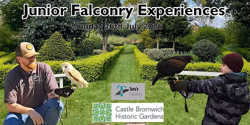 Junior Falconry Experience