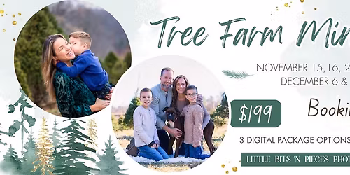 Tree Farm Mini Sessions